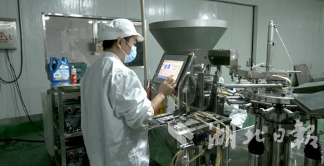 從“菜籃子”到“心尖寵” 武漢養雞第一鎮轉型記