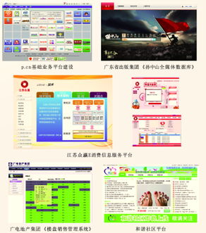 企業(yè)信息管理軟件定制與信息系統(tǒng)運(yùn)行維護(hù)服務(wù) 構(gòu)建智慧化企業(yè)運(yùn)營(yíng)的雙重支撐